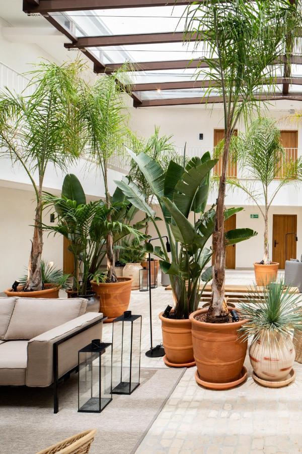 Hotel Porfirio Picota - Adults Recommended Zahara de los Atunes Exterior photo